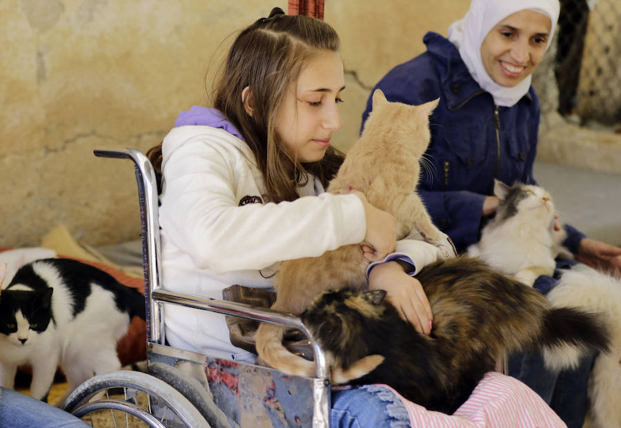 Refugio de guerra para mascotas en Siria