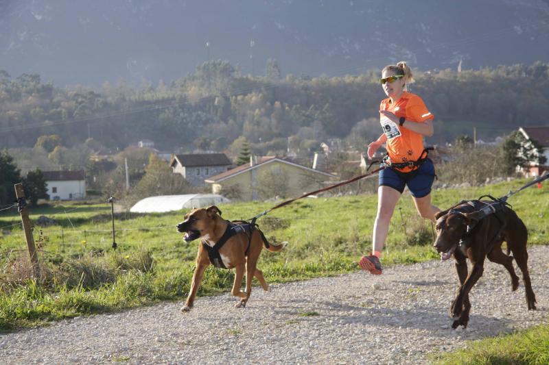 Mushing ‘Los Bufones de Pría’