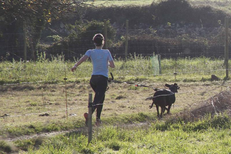 Mushing ‘Los Bufones de Pría’