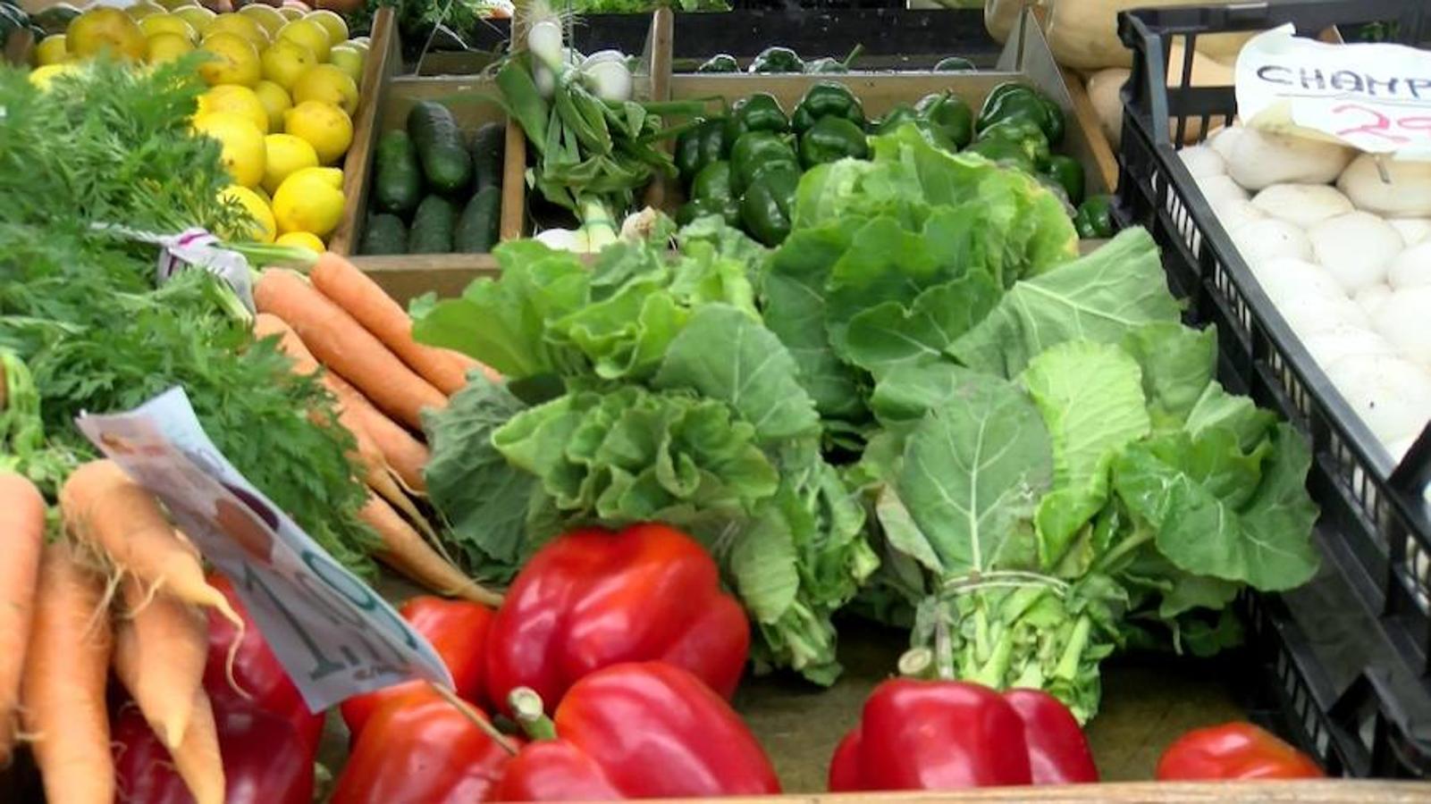 La berza, amarilla y muy dura»