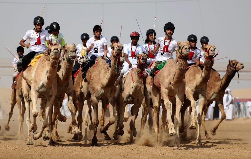 Presumiendo de camellos