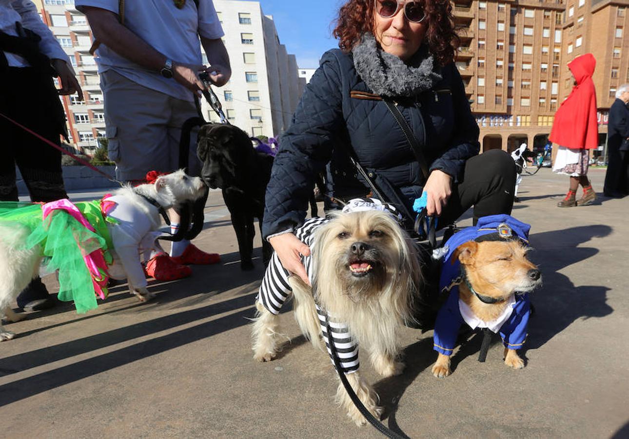 I Concurso de Mascotas Antroxaes