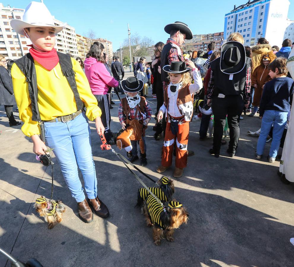 I Concurso de Mascotas Antroxaes