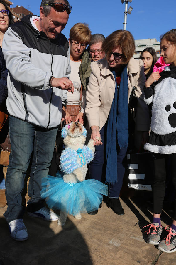 I Concurso de Mascotas Antroxaes