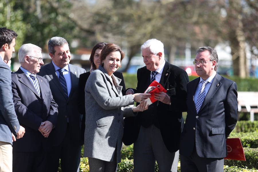 El parque de Isabel la Católica recupera el sauce de Jovellanos