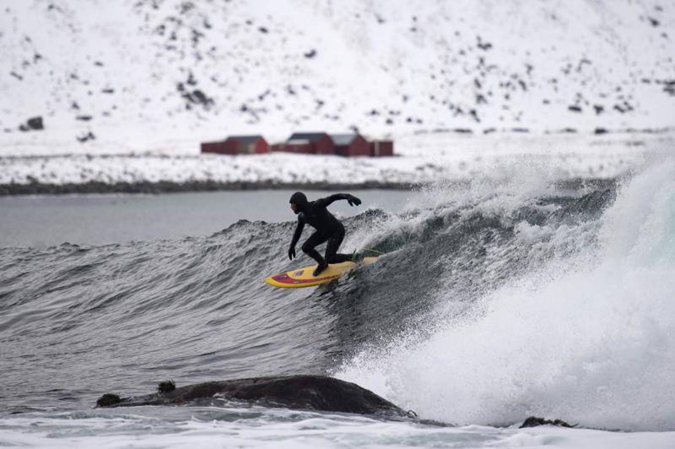 Surf a 5 grados bajo cero