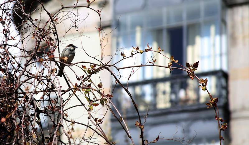 Las imágenes más impactantes de la primavera en Asturias