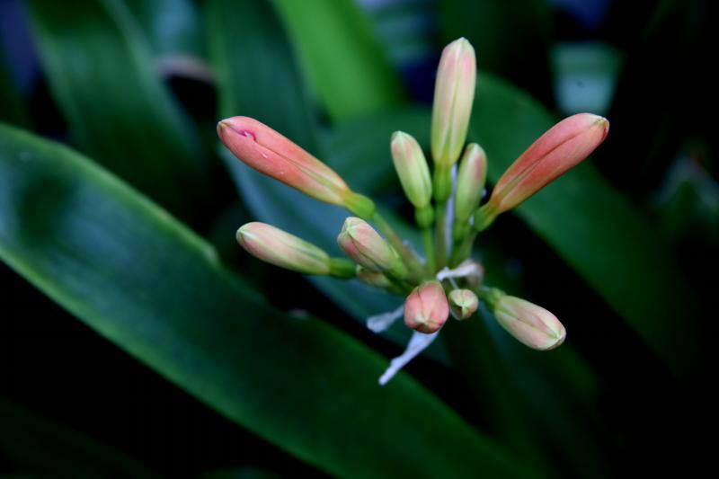 Las imágenes más impactantes de la primavera en Asturias