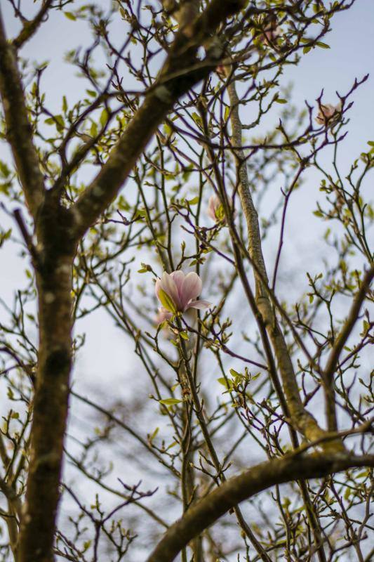 Las imágenes más impactantes de la primavera en Asturias