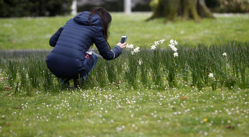 Las imágenes más impactantes de la primavera en Asturias