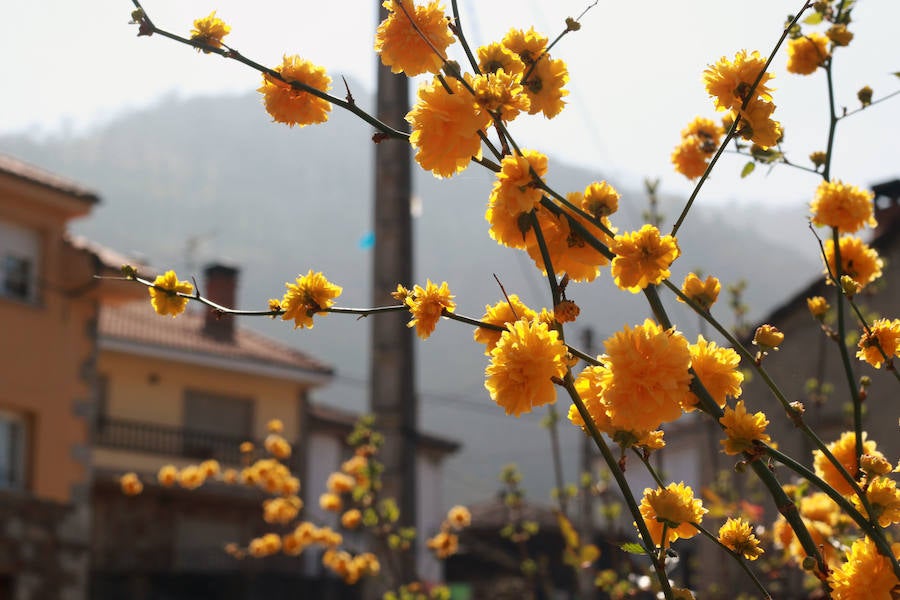 Las imágenes más impactantes de la primavera en Asturias