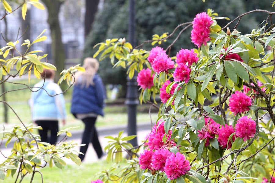 Las imágenes más impactantes de la primavera en Asturias