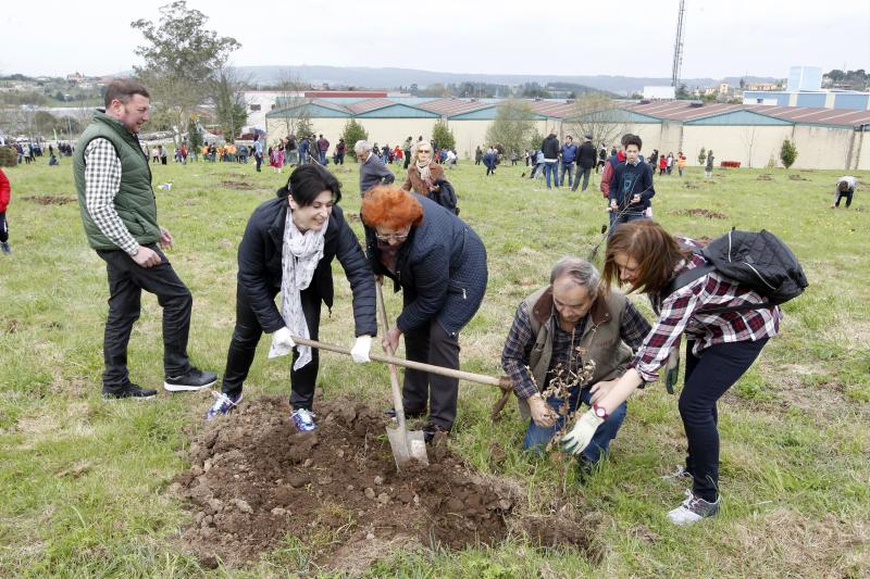 600 árboles para la Viesca