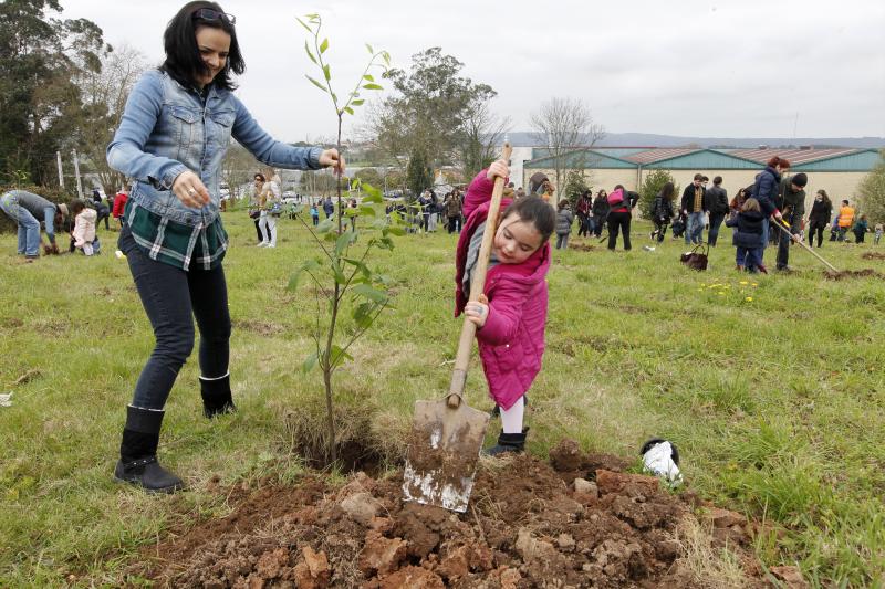 600 árboles para la Viesca