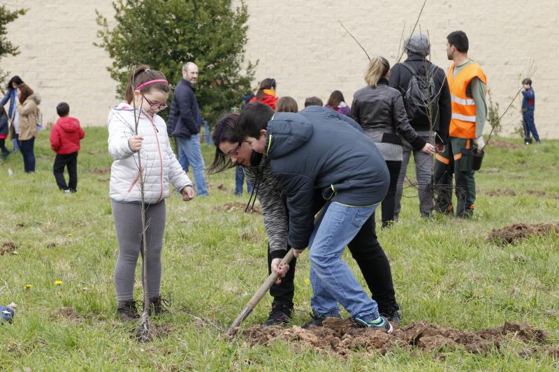 600 árboles para la Viesca