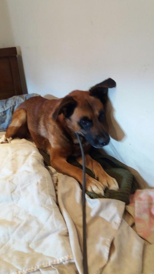 Una mujer de La Felguera vivió una semana en casa con su hijo muerto