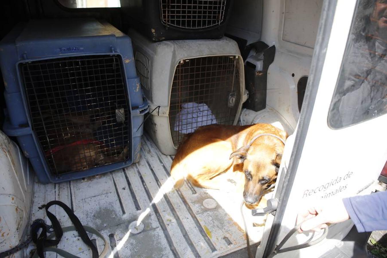 Una mujer de La Felguera vivió una semana en casa con su hijo muerto