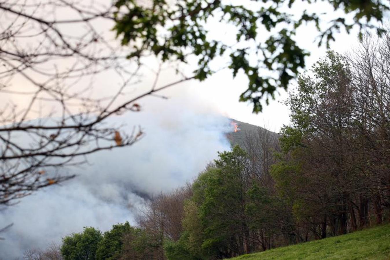 Un incendio quema 15 hectáreas en el Naranco, en Oviedo