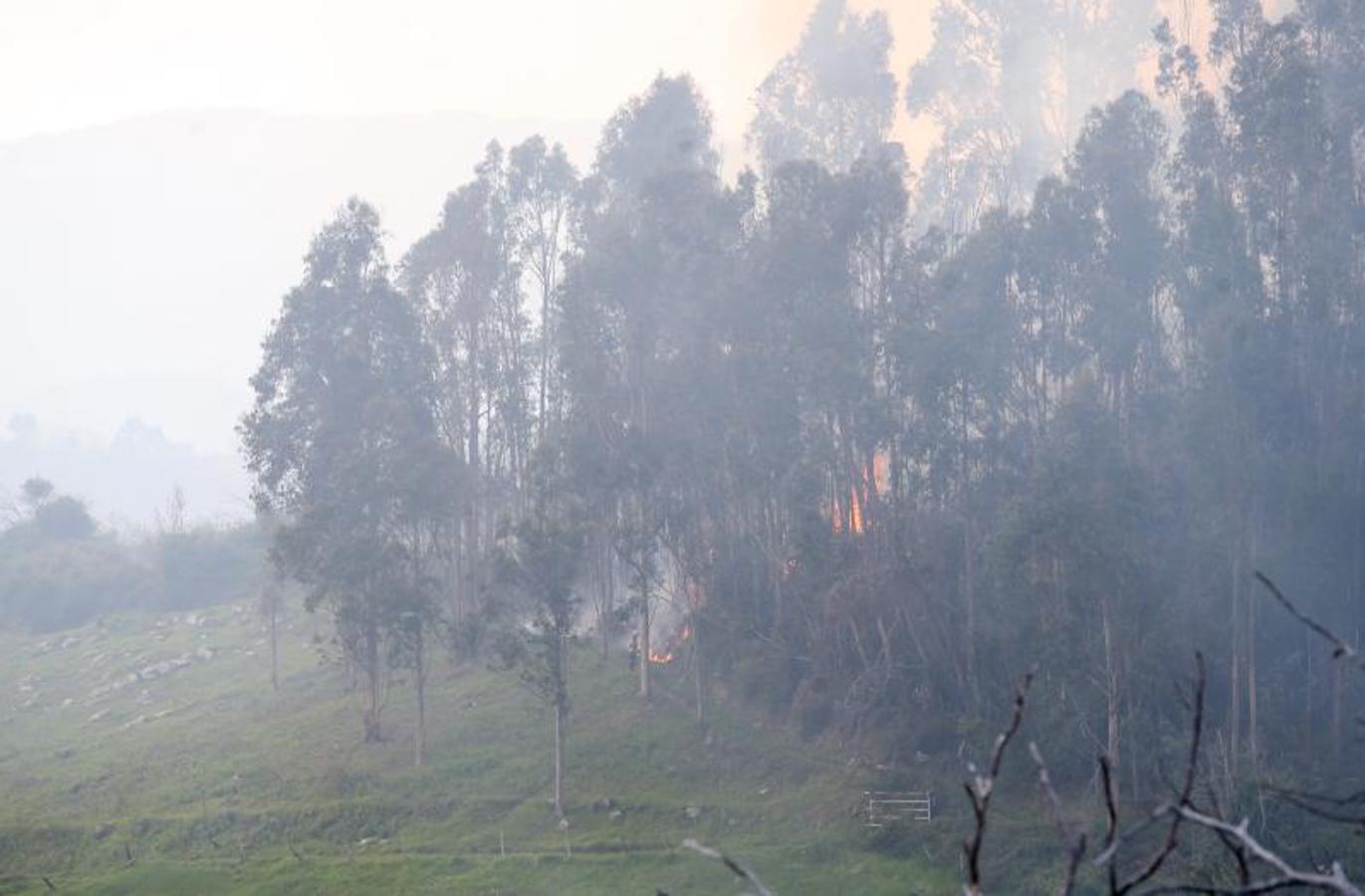Un incendio quema 15 hectáreas en el Naranco, en Oviedo