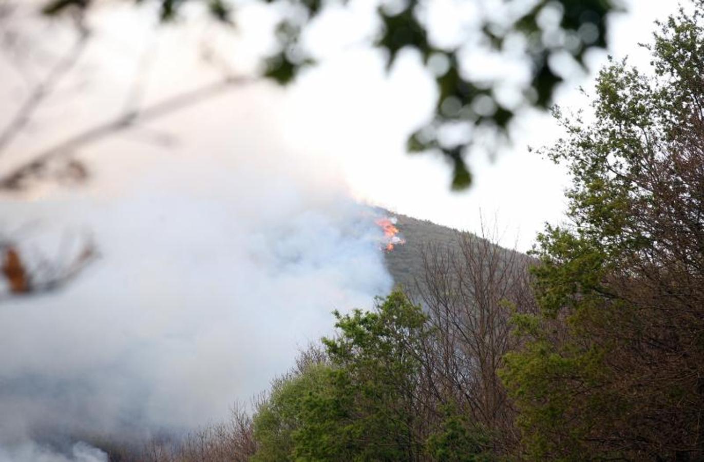 Un incendio quema 15 hectáreas en el Naranco, en Oviedo