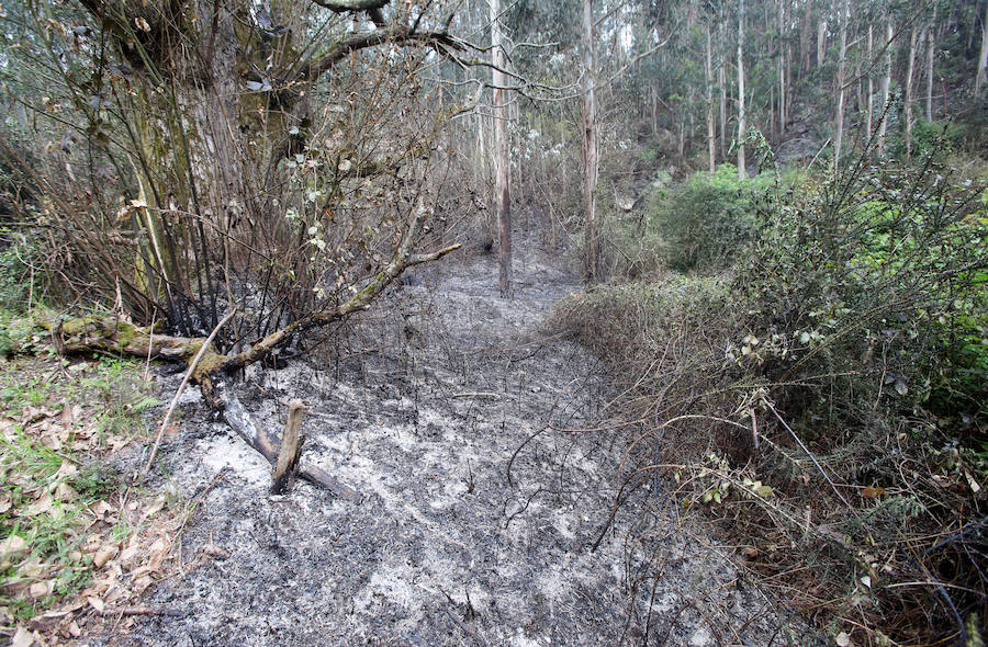 Un incendio quema 15 hectáreas en el Naranco, en Oviedo