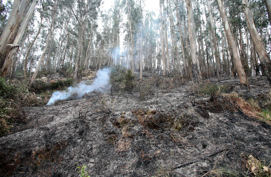 Un incendio quema 15 hectáreas en el Naranco, en Oviedo