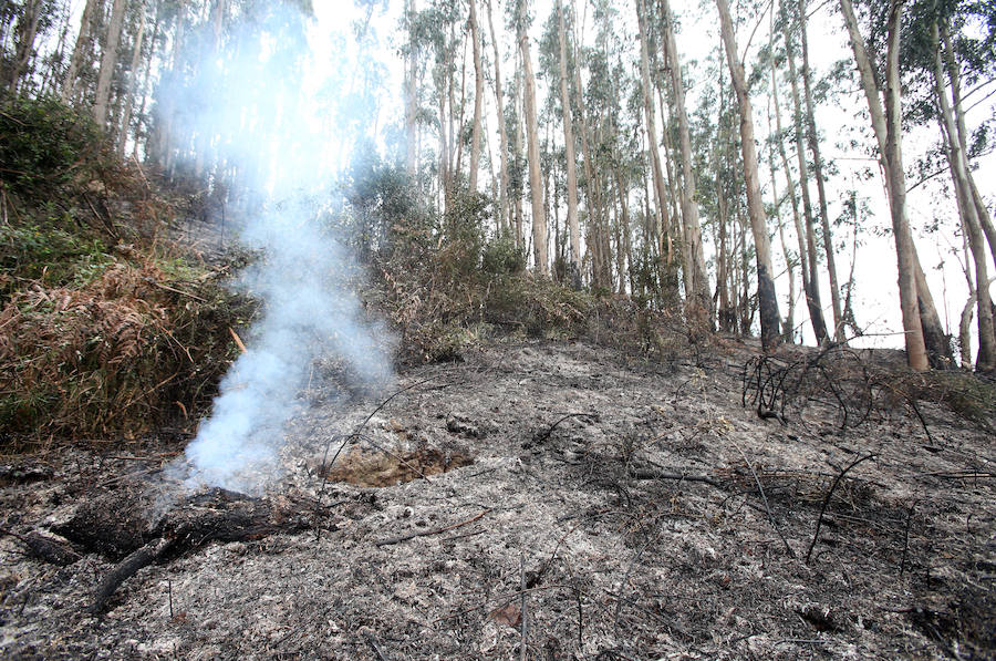 Un incendio quema 15 hectáreas en el Naranco, en Oviedo