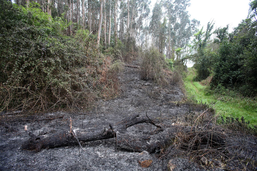 Un incendio quema 15 hectáreas en el Naranco, en Oviedo