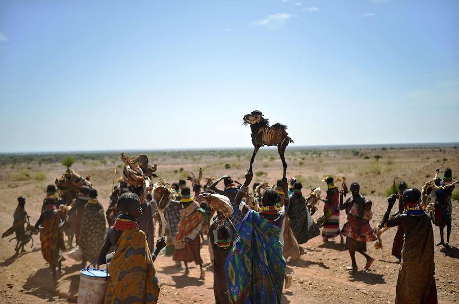 Sequía en Kenia