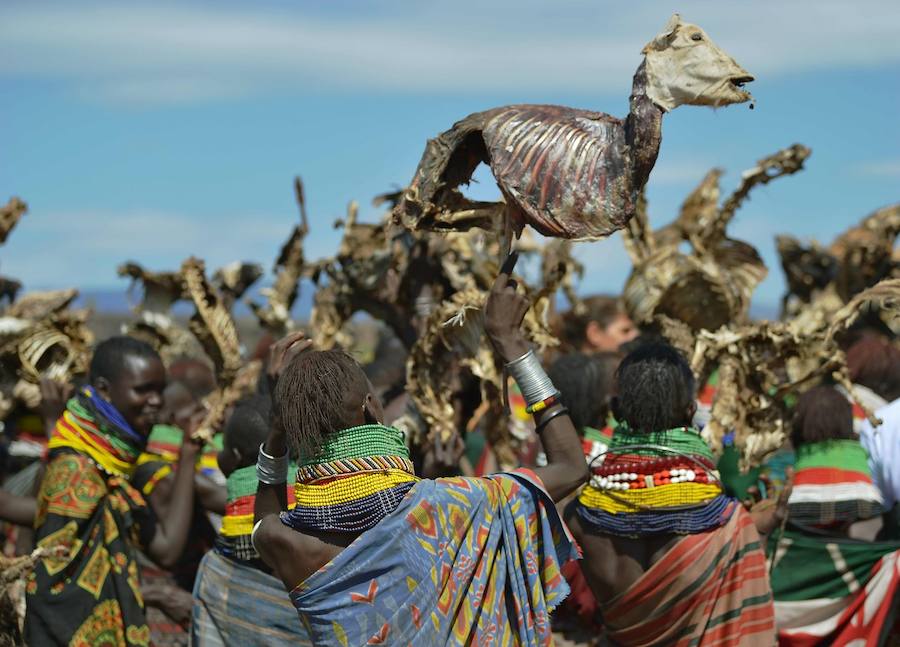 Sequía en Kenia