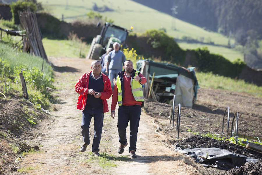 Asturias comienza a retirar patatas para erradicar la polilla guatemalteca