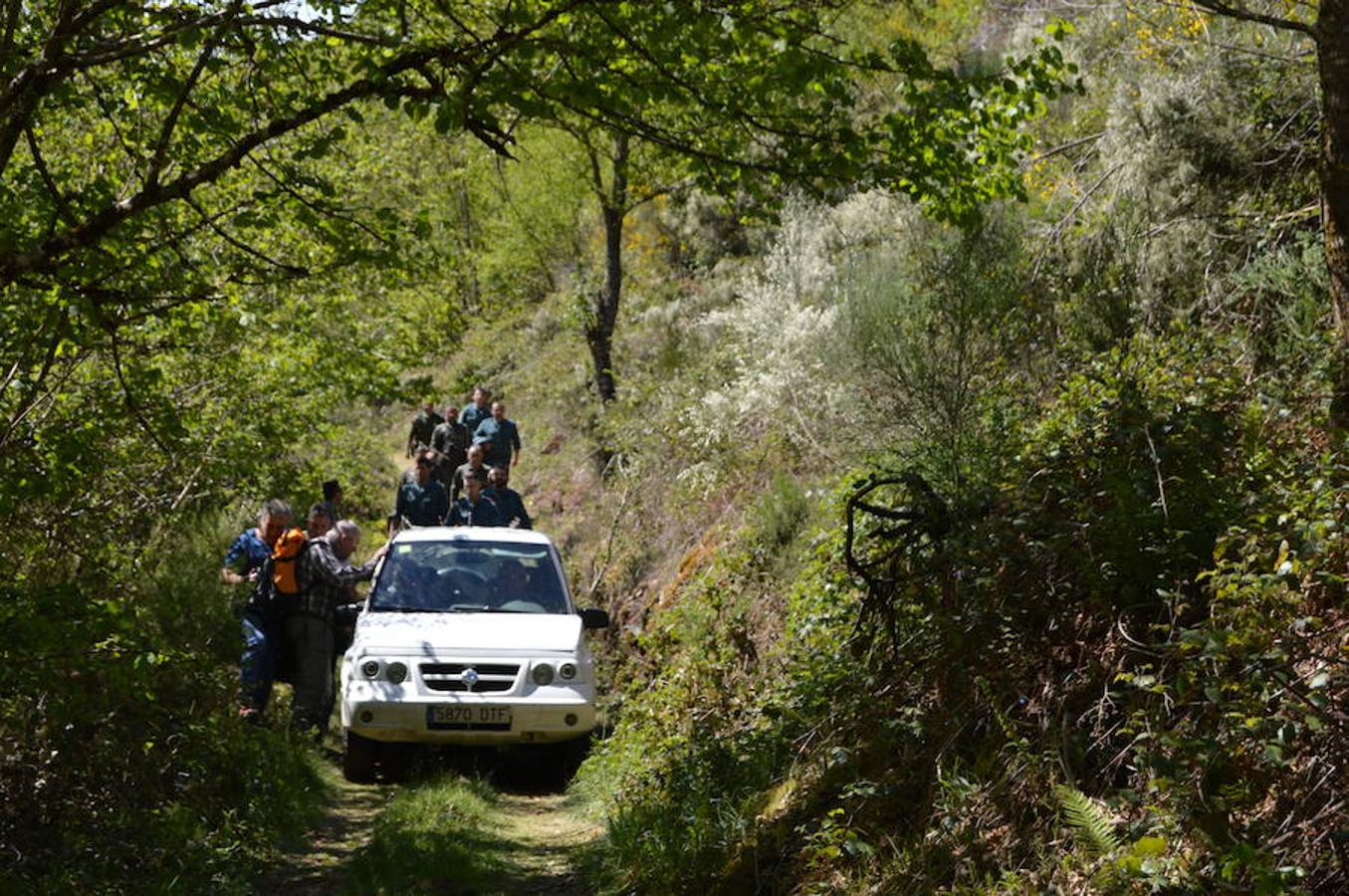 Retiran los cadáveres de los oso muertos en Cangas del Narcea