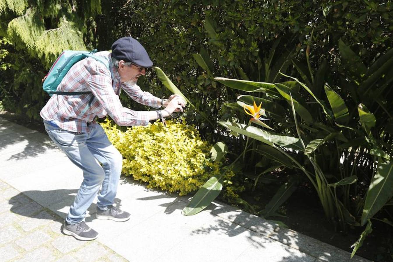 Jornada de puertas abiertas en el Botánico de Gijón