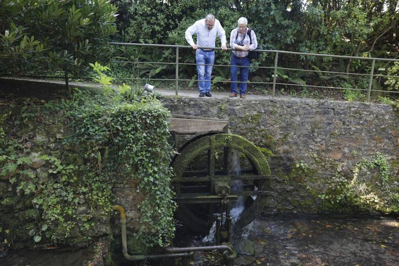 Jornada de puertas abiertas en el Botánico de Gijón