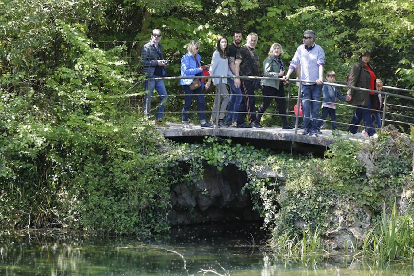 Jornada de puertas abiertas en el Botánico de Gijón