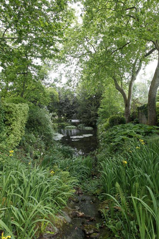 El Jardín Botánico, en todo su esplendor