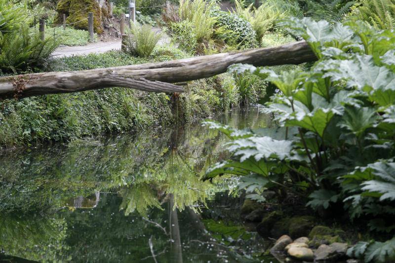 El Jardín Botánico, en todo su esplendor