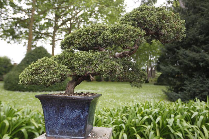 El Jardín Botánico, en todo su esplendor