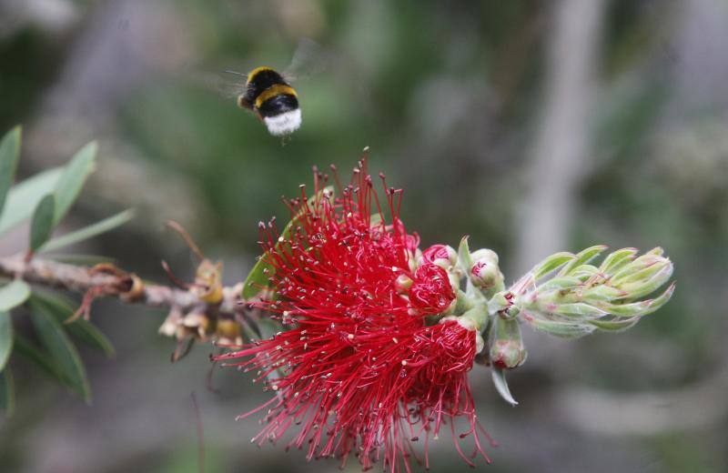 El Jardín Botánico, en todo su esplendor