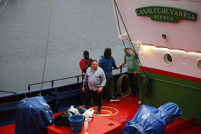 Llega el bonito a la rula de Gijón
