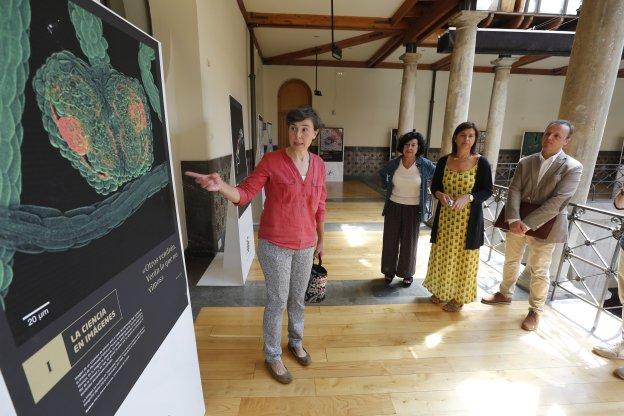 Marta Alonso explica el contenido de una de las fotografías de la exposición a Judith García, Montserrat López y Felipe Lombó, en el Antiguo Instituto. 