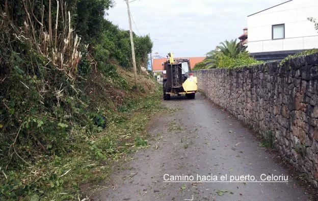 Limpieza de la carretera que conduce al puerto, en Celorio. 