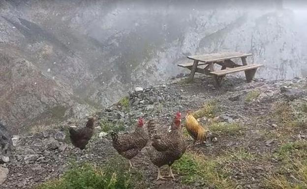 Nieve en agosto en Picos de Europa
