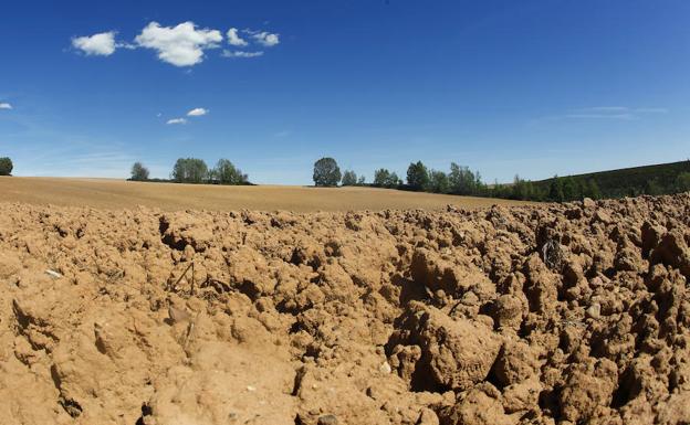 Efectos de la sequía en el campo asturiano.