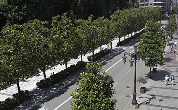 Una vista de la calle Uría, el paseo de Los Álamos y el cruce con Toreno donde el plan prevé suprimir el estacionamiento. 