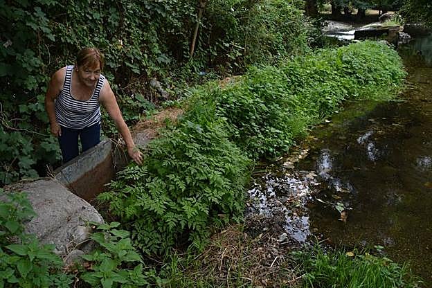 María Isabel Martínez, la molinera de Cibuyo, donde prácticamente no baja agua en el río.