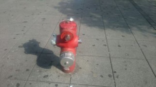 Un hidrante. 