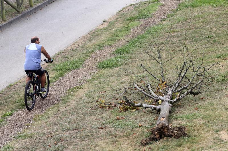 La reducción del riego por el bajo nivel de Los Alfilorios tiñe de amarillo zonas verdes y parques