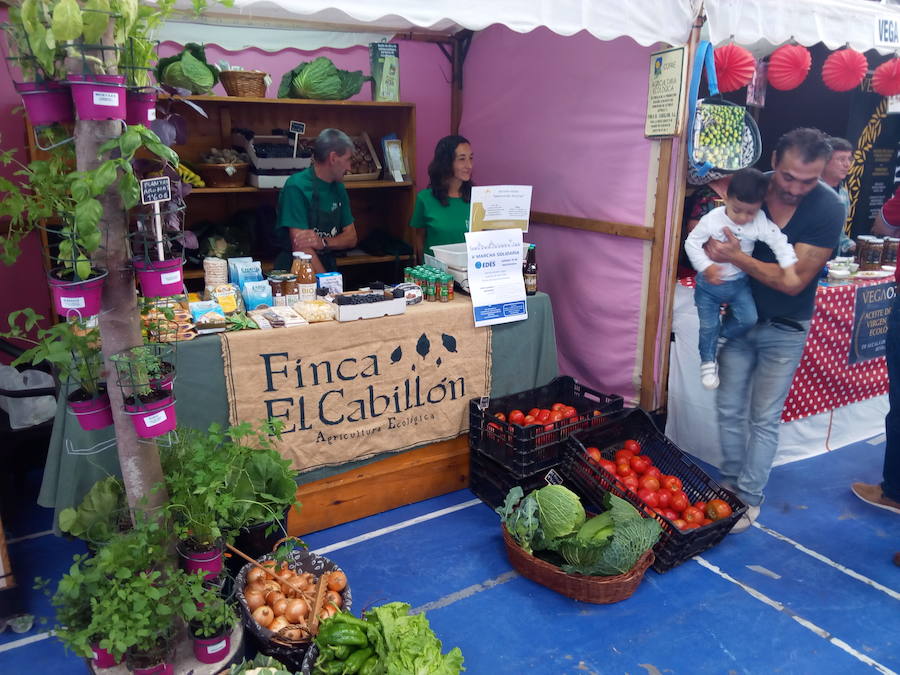 Feria Eco en Vegadeo