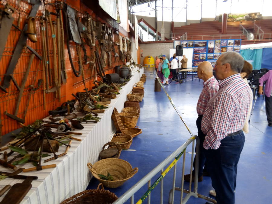 Feria Eco en Vegadeo